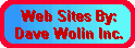 Dave Wolin Inc - E-Commerce For the 21st Century